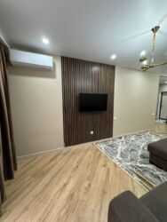 2-��������� �������� � 60 �² � 2/16 ����, ������� 31 ���� 3