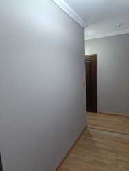 ���� ���� 72 ���� ����������� 289 ���� 8