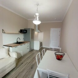 1-��������� �������� � 49 �² � 13/16 ����, ����������� 19� ���� 1