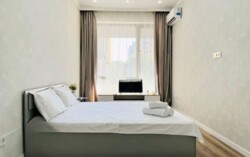 1-��������� �������� � 42 �² � 2/10 ����, ������������ 177 � �� Forum ���� 1