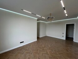 ��������� �������� ������, ������������� �-�, ������ �����, 237 ���� 3