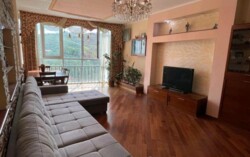 3-��������� �������� � 157 �² � 11/22 ����, ��� �����-2, ������ 162�5 ���� 5