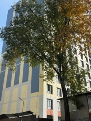 ��������� �������� ������, ����������, 14 ���� 2