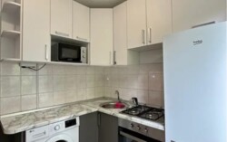 1-��������� �������� � 31 �² � 3/5 ����, ��� ������-4 1 � ������� ��������� � �������� �������� � ��������� ���� 1