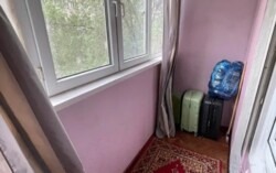 ��� �����-5 ���� 13