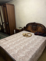 3-комнатная квартира · 66.9 м² · 5/5 этаж, мкр Аксай-2 2/1 — Толе Би- Саина фото 7 3-комнатная квартира · 66.9 м² · 5/5 этаж, мкр Аксай-2 2/1 — Толе Би- Саина фото 7