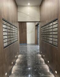 �/� ����� ���� 8