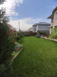 ��������� ��� ������, ������������� �-�, �������� 135/96 ���� 19