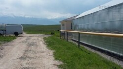 ����������� ������� ���� 2