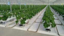 ����������� ������� ���� 1