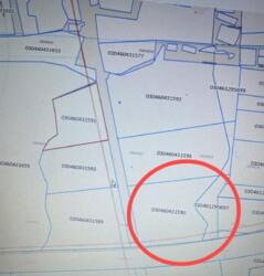 10 ������ ���� 1