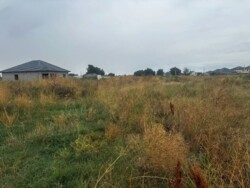 ��������� ������� ����������� ���., ����������� (��������), ���������� ���� 2